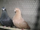 DSC08069