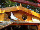 DSCN0666