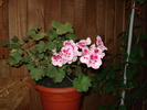 DSC09792