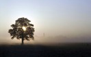 701_airfieldsunrise_1440x900