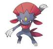 461weavile