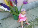 DSC00382
