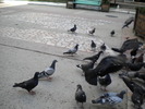 DSCN0098