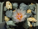 DSCF0476