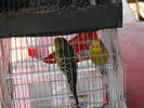Picture 252