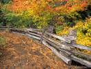 Split-Rail, Mount Rainier National Park, Washington