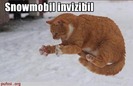 snowmobil invizibil