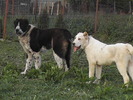 poze 01.05.2009 114