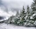56_1280[1]