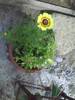 PICT0006