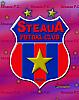 steaua_bucuresti