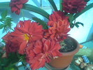 Imag077