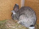 DSCF3827