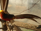 DSCF0292