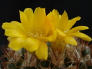 DSC00596