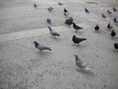 DSCN0114