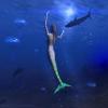 mermaid2