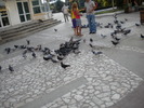 DSCN0167