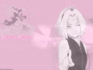 sakura 18