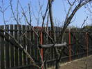2009_04120087