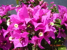 DSC00077