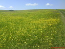 DSC00302