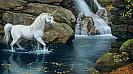 unicorns3
