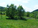 DSCF0997