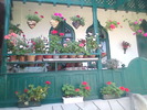 Imag022