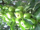 PICT0121