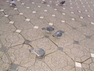 P9040095