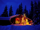 Christmas Wallpapers (623)