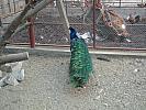 DSC01531